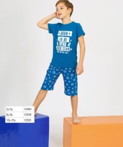 Erkek Çocuk Mavi Şortlu Pijama Takımı | 6-9 Yaş | Tshirt ve Alt | Mavi Renk